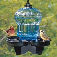 Bird Waterers